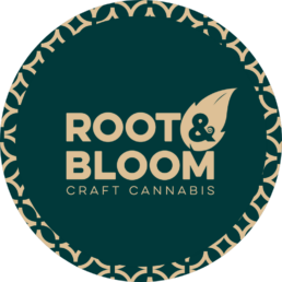 Root and Bloom Available in Belmont, MA.