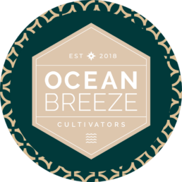 Ocean Breeze Available in Belmont, MA.