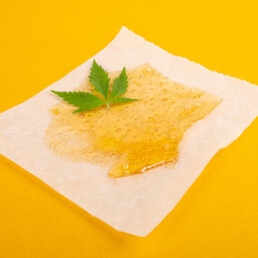 HOW TO DAB CANNABIS CONCENTRATES SUCH AS WAX, SHATTER, BATTER